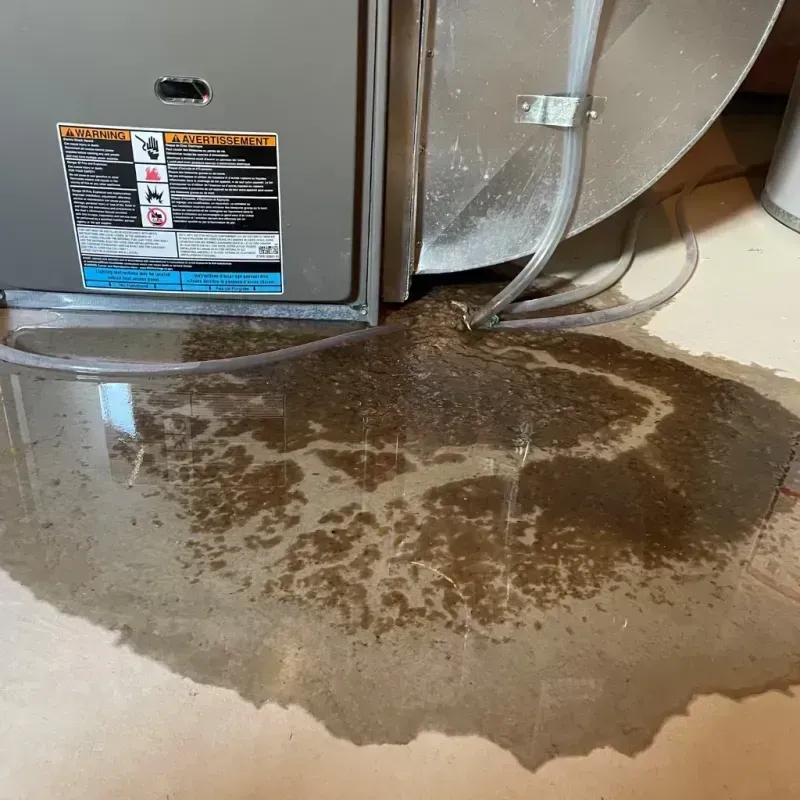 Appliance Leak Cleanup in Ninnekah, OK